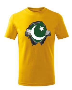 Pakistan Cricket World Fans T-shirts Supporting the Team Pakistan Jersey T-shirts For Men | Women to win the World Cup
