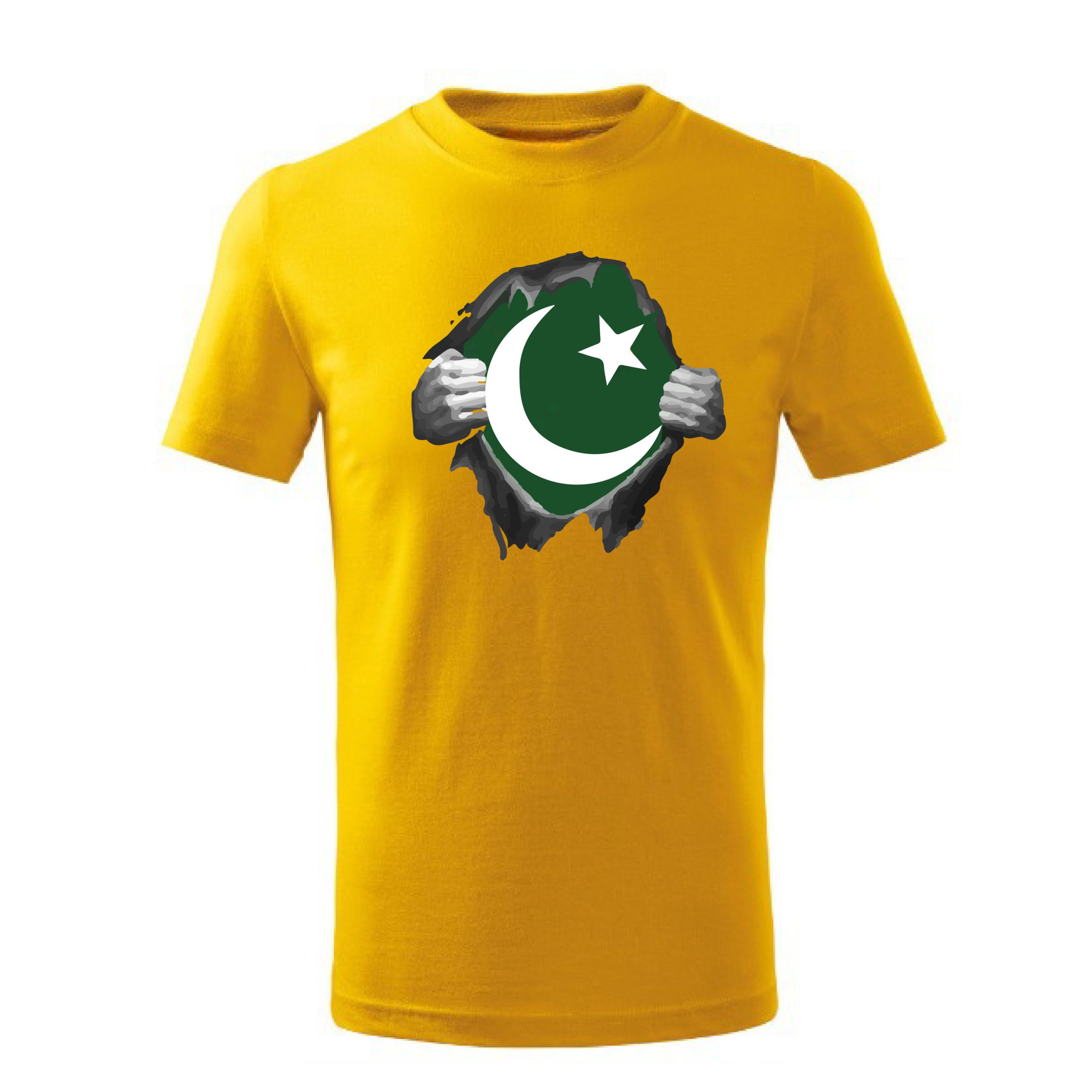 Pakistan Cricket World Fans T-shirts Supporting the Team Pakistan Jersey T-shirts For Men | Women to win the World Cup