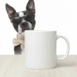 White ceramic mug on a light wooden table with a Boston terrier wearing sunglasses in the background, creating a playful scene.